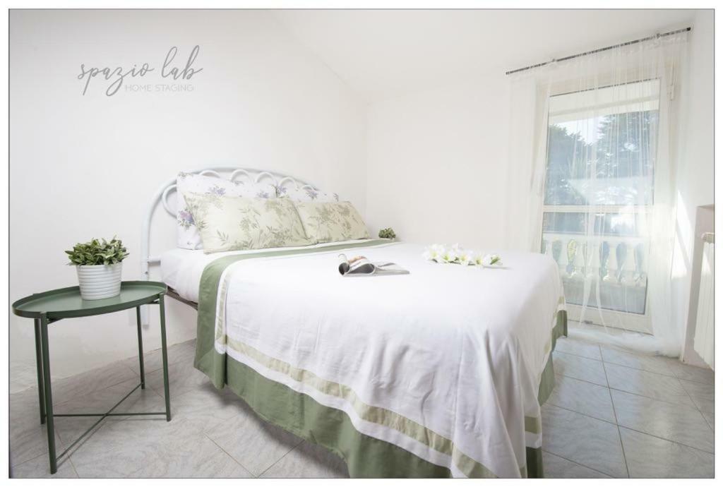 Villa D Apartments 마리노 외부 사진